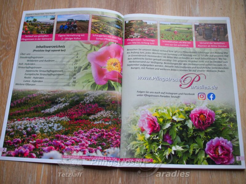 Pfingstrosen-Paradies Katalog