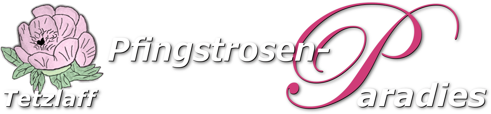 Pfingstrosen-Paradies Stephan Tetzlaff