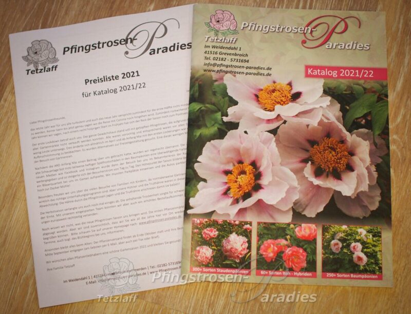 Pfingstrosen-Paradies Katalog