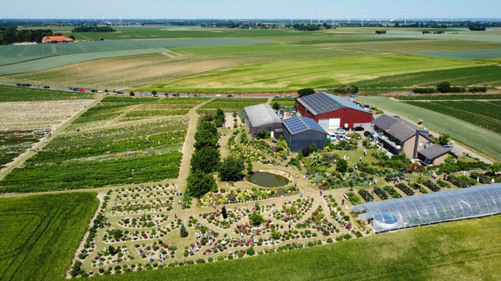 Pfingstrosen-Paradies Tetzlaff