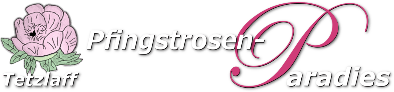 Pfingstrosen-Paradies Tetzlaff